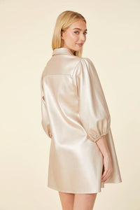 Metallic Faux Leather Puff Sleeve Dress