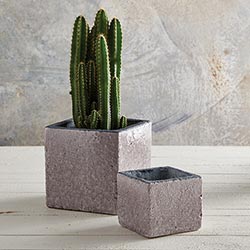 Grey Square Pot