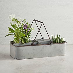 Divided Caddy w/Handle