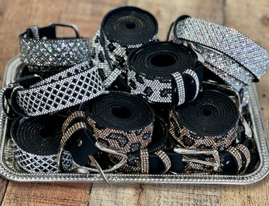Sparkly Belts